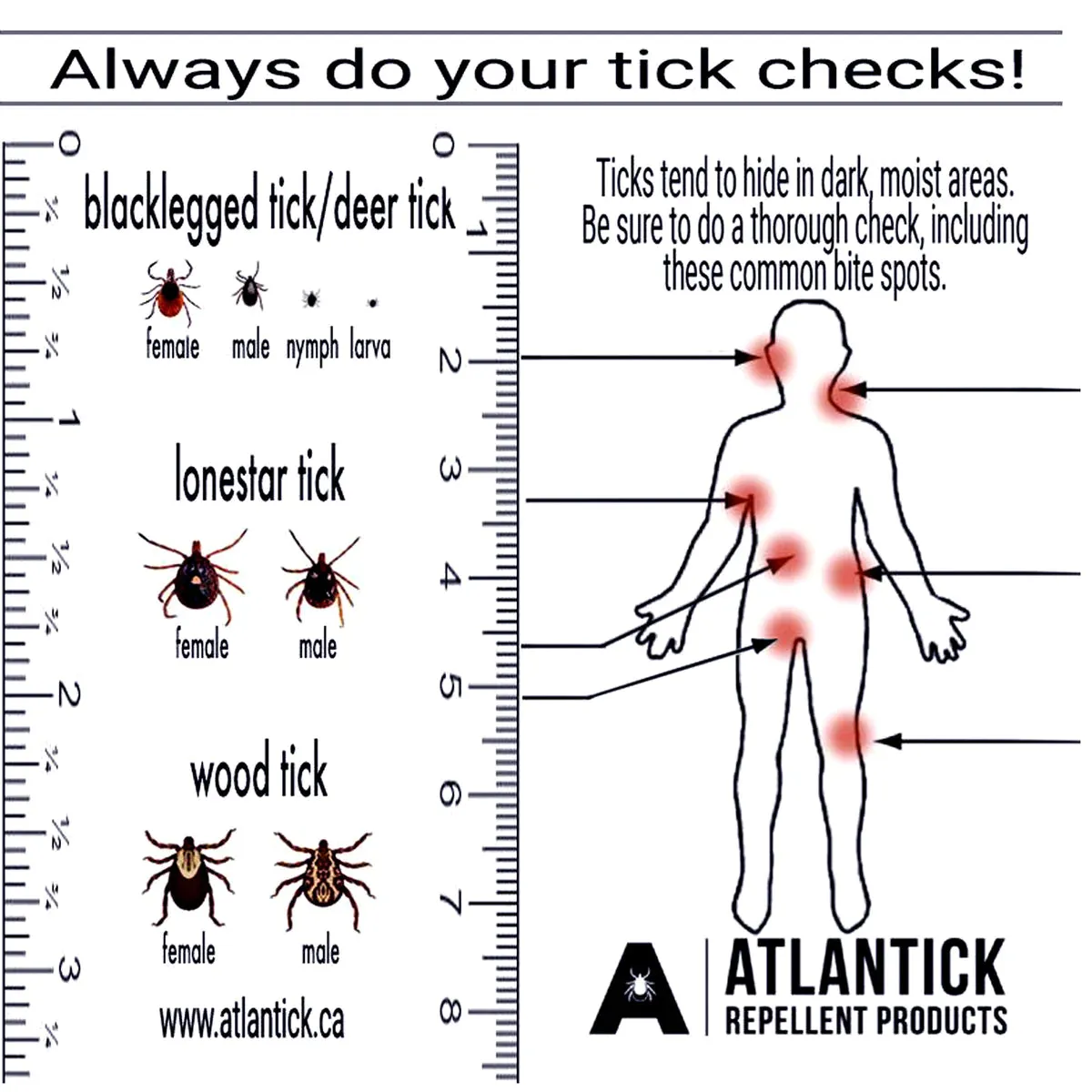 Atlantick Tick Kit Tick Removal Tools and First Aid Supplies