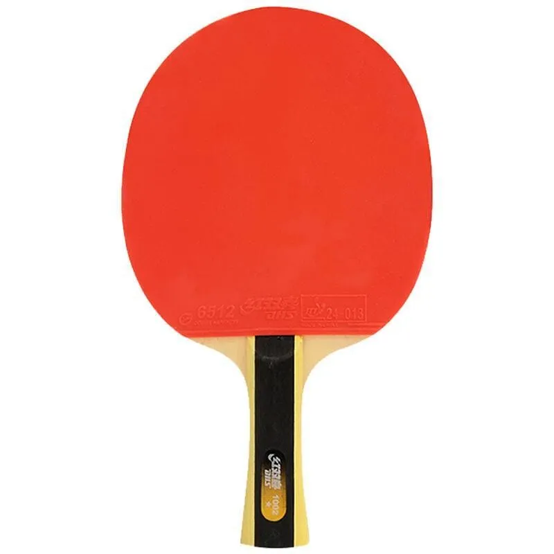 DHS 1 Star T1002 Beginners Table Tennis Bat   Case