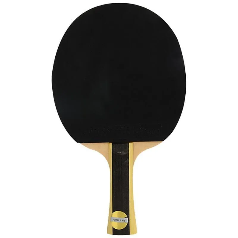 DHS 1 Star T1002 Beginners Table Tennis Bat   Case