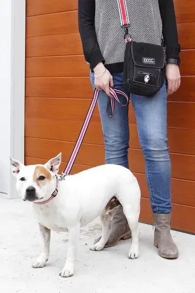 DOOG Walkie Shoulder Bags