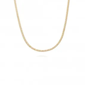 Estee Lalonde Short Snake Chain 18ct Gold Plated Necklace ELN08_GP